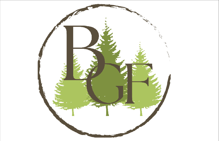 Logo Batisse Gestion Forêt